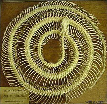 ��e���� ����