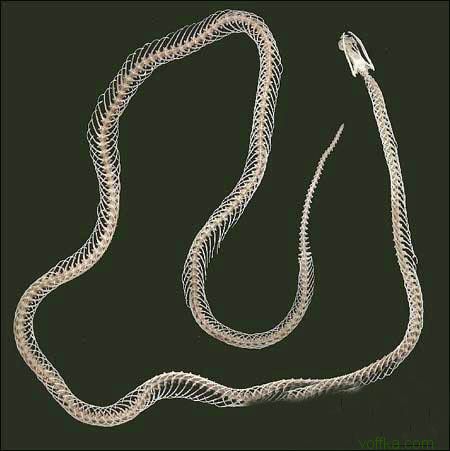 ��e���� ����