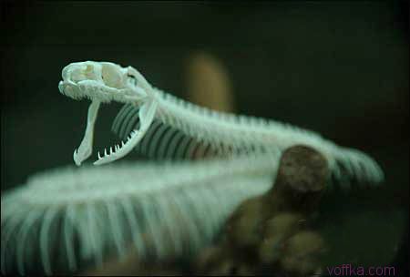 ��e���� ����