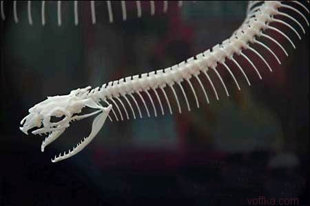 ��e���� ����