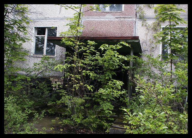 ��������� ���� ����������