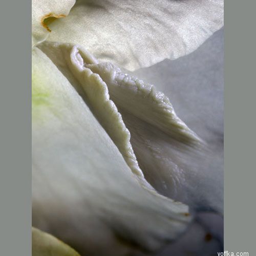 ��������� ����� 